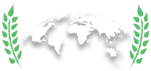 The Cushman School Footer Globe